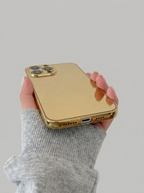 Gold Full Mirror Case